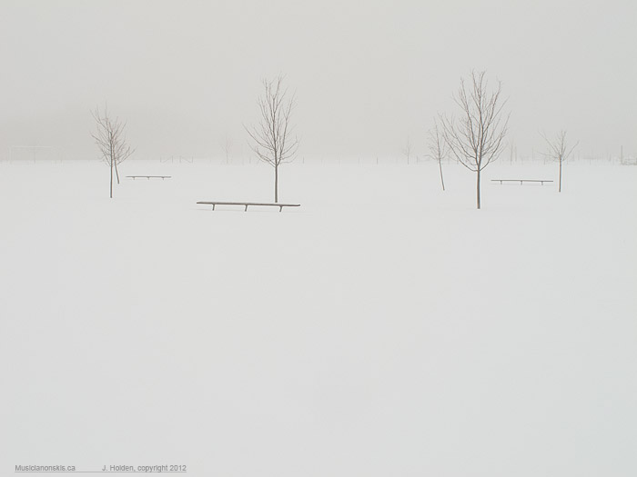 Fog