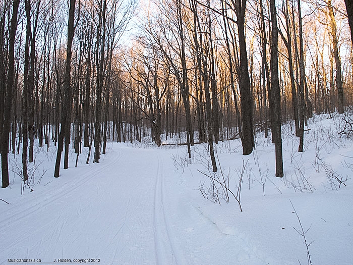 Western Trail