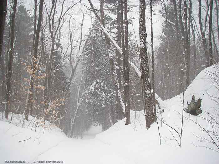 Trail 15