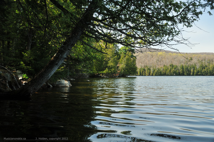 Meech Lake