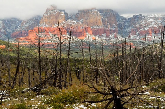 Hiking photo by Sue Cooke