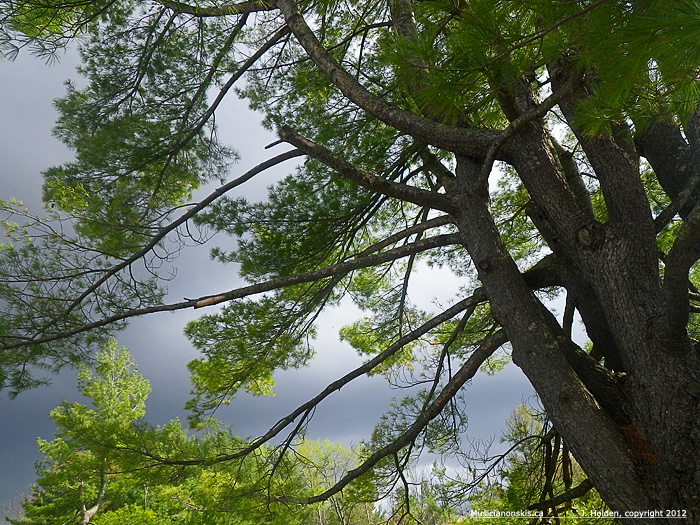 Cold Front