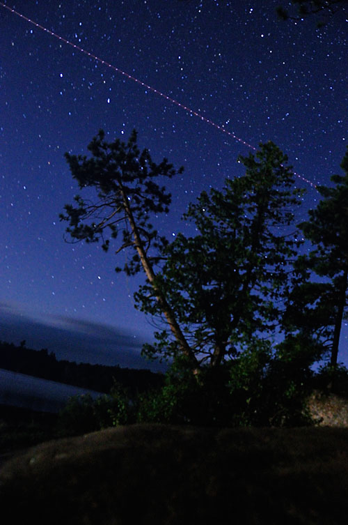 Pines, Stars and an Airplane