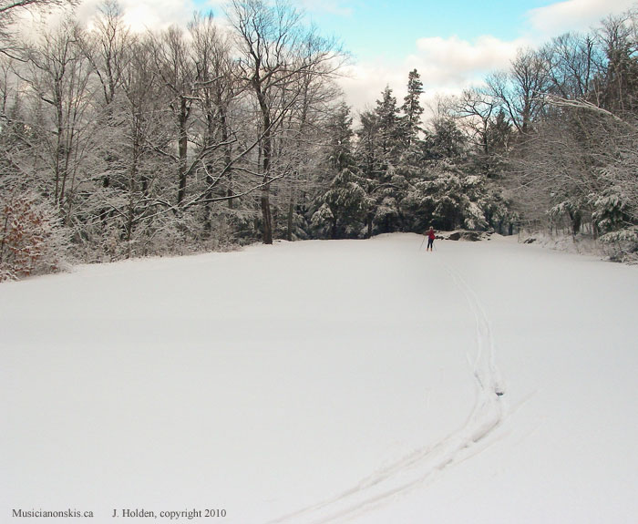 Near Lac Bourgeois, Gatineau Park
